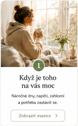 kdyz-je-toho-na-vas-moc