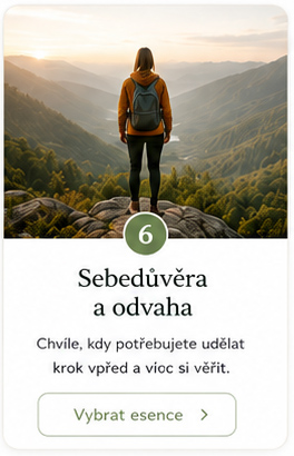 sebedůvěra-a-odvaha-2