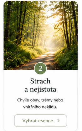 strach-a-nejistota