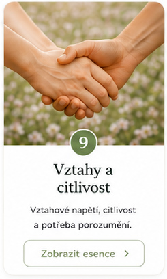 vztahy-a-citlivost