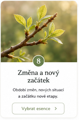 změna-a-nový-začátek